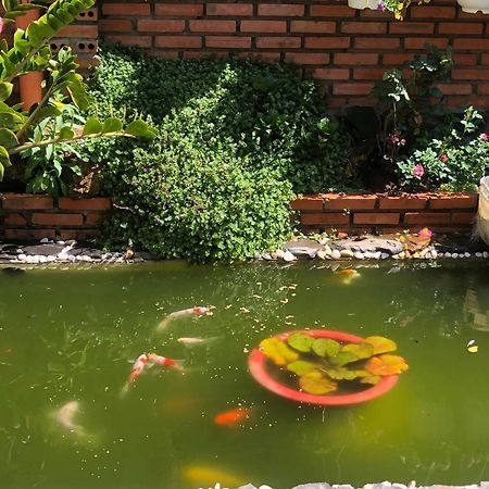 Rose House Apartman Da Lat Kültér fotó