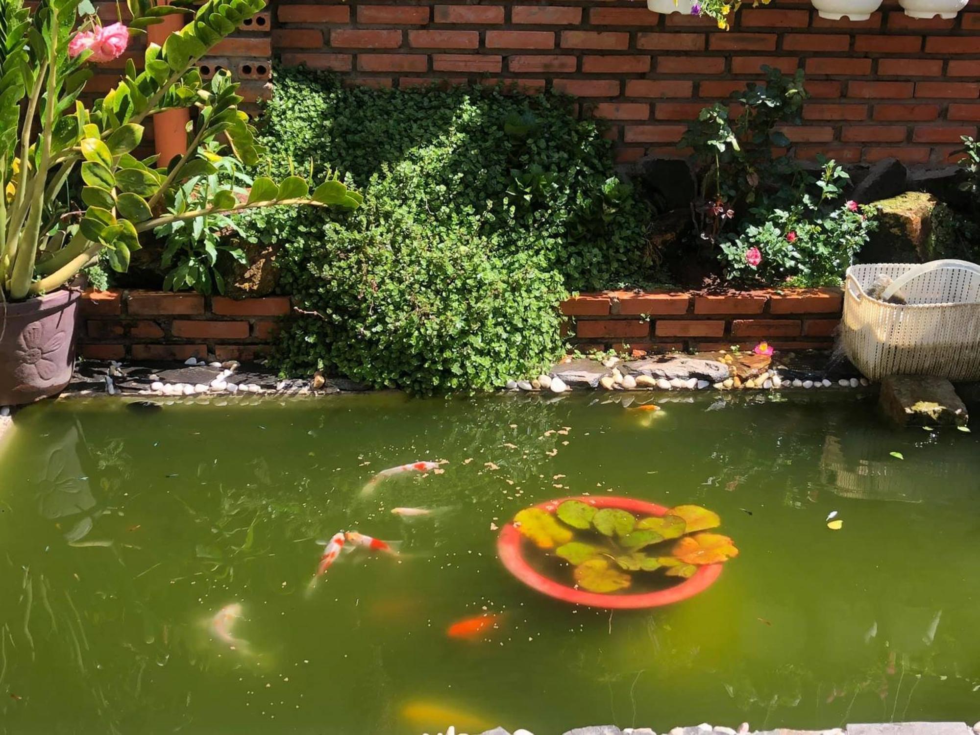 Rose House Apartman Da Lat Kültér fotó
